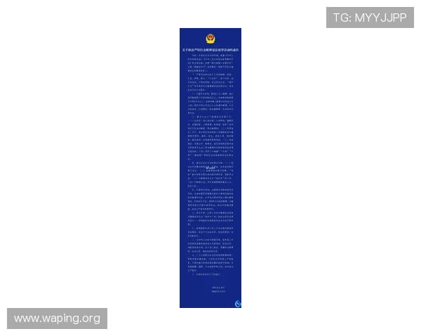 网上赌城：网络赌博法律法规的最新动态与政策解读